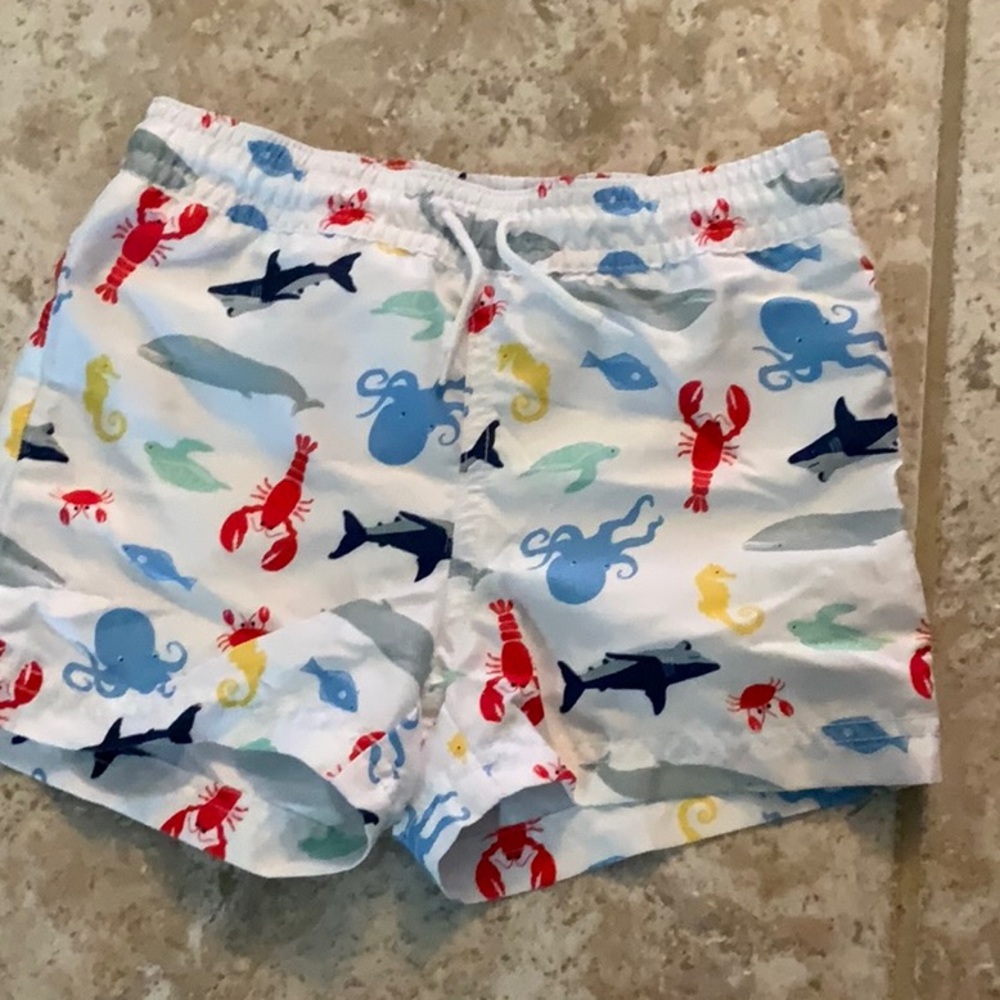 Colorful Sea Creature Print Swim Shorts